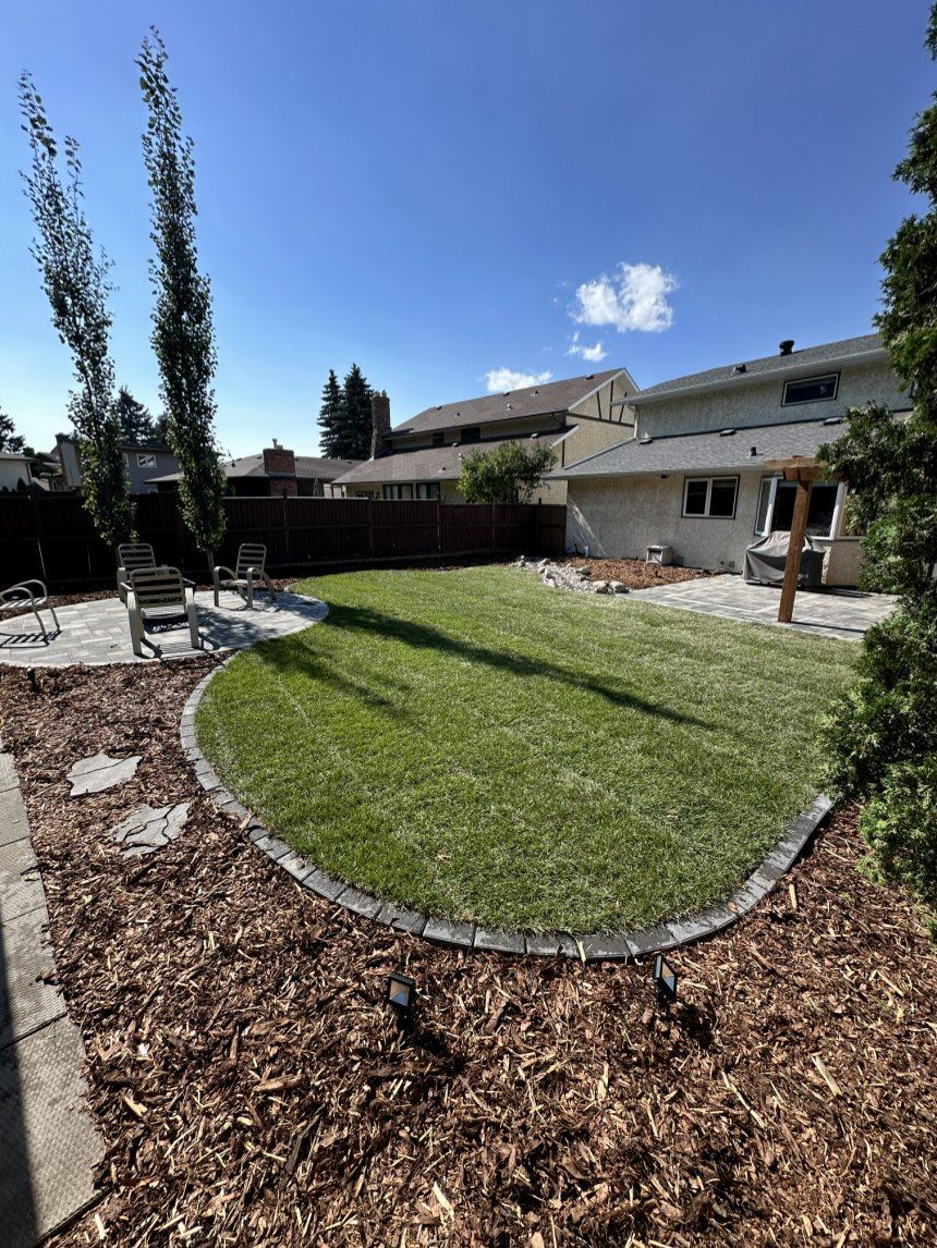 Pelouse paysagère avec bordures et terrasse